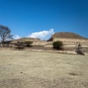 MEX OAX MonteAlban 2019APR04 017 : - DATE, - PLACES, - TRIPS, 10's, 2019, 2019 - Taco's & Toucan's, Americas, April, Day, Mexico, Monte Albán, Month, North America, Oaxaca, South Pacific Coast, Thursday, Year, Zona Arqueológica